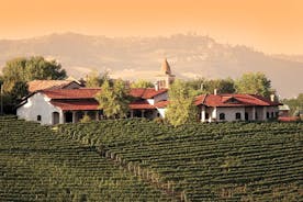 Besök på Germano vingårdar och vingård med Langhe vinprovning till lunch