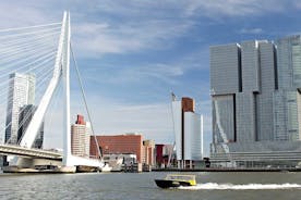 개인 투어 로테르담: 하이라이트, 수상 택시 및 옥상 전망