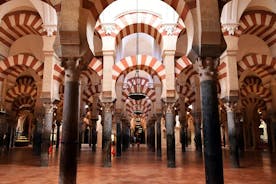 コルドバのモスク大聖堂ガイド付きツアー