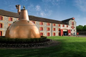 Skip the Line: Jameson Experience with Whiskey Tasting ticket in Cork