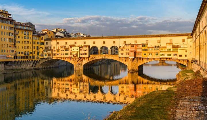 Volledige dag excursies aan wal naar Florence en Pisa vanuit Livorno met proeverij