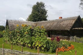 빌 뉴스의 일일 투어 : Paneriai 홀로 코스트 공원, Trakai 성, Rumsiskes 박물관