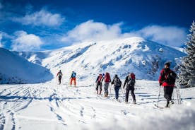 초보자를위한 장비 대여를위한 Tatra Mountains에서의 4 시간 스키 여행