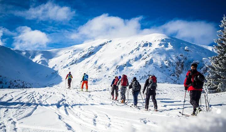 4 hours skitour trip in Tatra Mountains for beginners with renting equipment