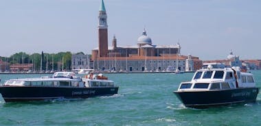 Venice: Private Boat Rental with Driver
