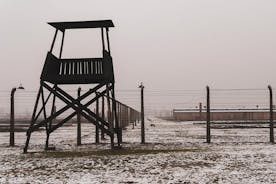 Auschwitz Birkenau Museum and Wieliczka Salt Mine guided tour in 2 days