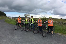 Privé begeleide elektrische fietstocht door de Burren