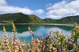 Lagoa do Fogo gönguferð með hádegismat frá Ponta Delgada