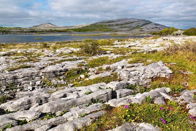 石头和故事私人步行。 Burren，Co Clare。指导。 2小时。