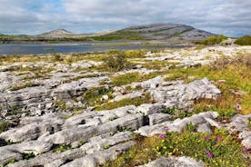 Stones & Stories Privat promenad. Burren, Co Clare. Guidad. 2 timmar.