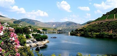 Tour per piccoli gruppi nella valle del Douro con degustazione di vino, pranzo portoghese e crociera sul fiume facoltativa