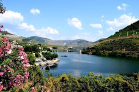 Excursión para grupos pequeños del Valle del Duero con una cata de vinos, almuerzo portugués y crucero por el río opcional