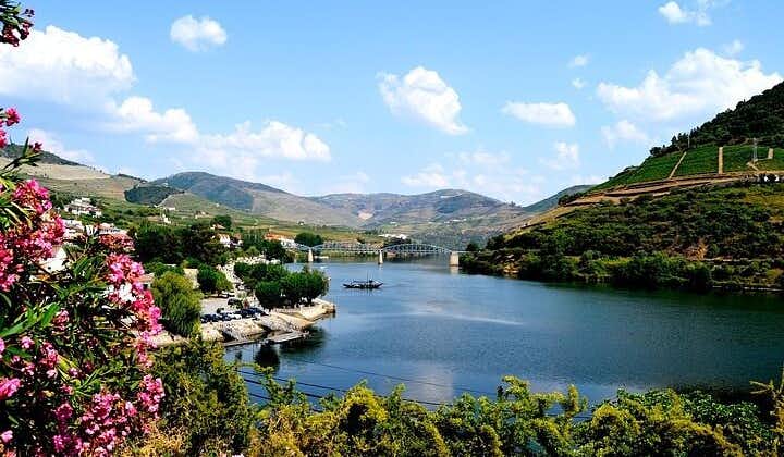 Tur til Douro-dalen med liten gruppe med vinsmaking, portugisisk lunsj og valgfritt elvecruise