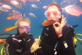 Alanya: esperienza di immersioni subacquee per principianti
