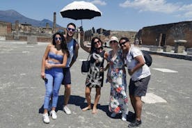 Excursion d'une demi-journée au parc archéologique de Pompéi au départ de Salerne