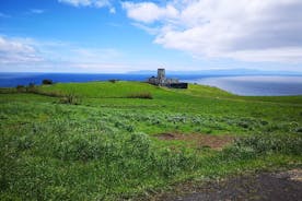 Full-Day Private Tour of Faial