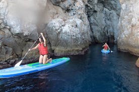 Aventura de Stand-Up Paddle e Snorkel em Santorini
