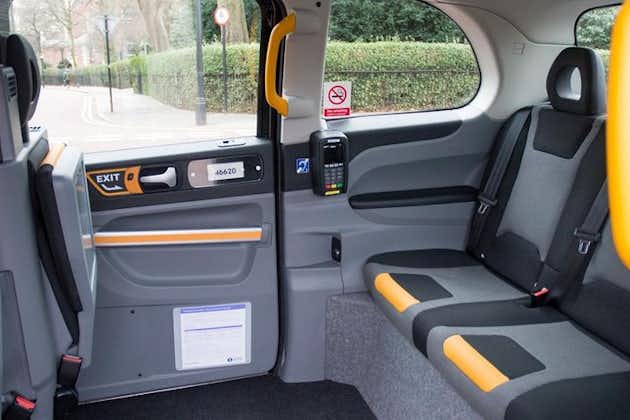 Bespoke Black Cab Private Tour of London - Full Day