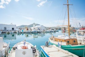 Heldags franska rundtur på Paros och Antiparosöarna med buss