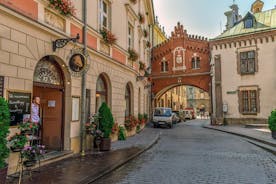 Explorez les spots Instaworthy de Cracovie avec un local