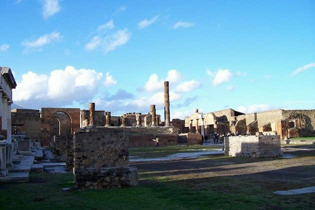 Herculaneum und Pompeji Private Tour: Tagesausflug von Rom mit dem Auto