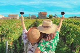 Private Wine Tour with Food & Wine Tasting in Setubal - Lisbon