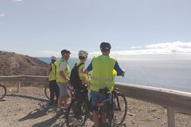 Visite panoramique de la côte sud en vélo électrique Tapas de pêche en option