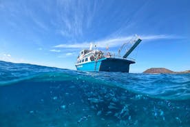 Visit Lobos Island with Snorkel from Corralejo, Fuerteventura
