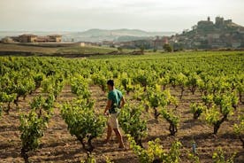 Hel dags privat kulturellt och gastronomiskt äventyr i Rioja