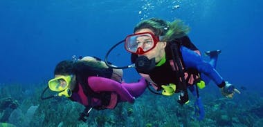 Scuba Diving Tour From Alanya - Side - Antalya