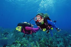 Scuba Diving Tour från Alanya - Side - Antalya