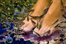 20-Minutes Natural Pedicure with Exotic Fish