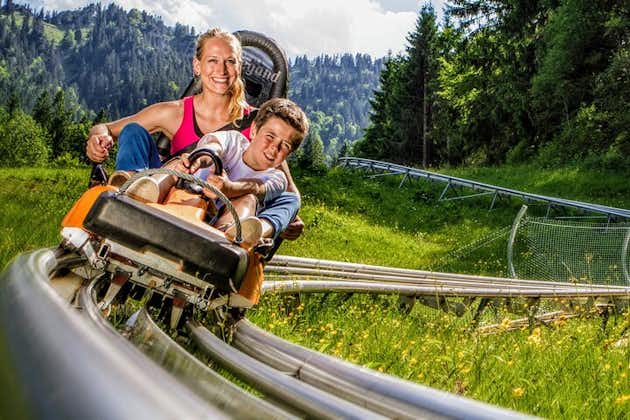 Neuschwanstein inklusive billetter og Alpine Coaster Private fra München