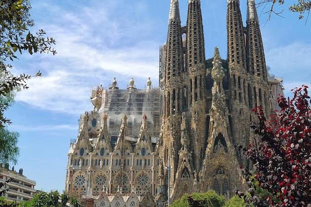 Sagrada Familia: Fast Track Guided Tour with optional Tower