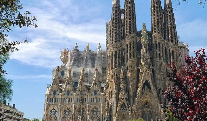 Sagrada Familia: Fast Track Guided Tour
