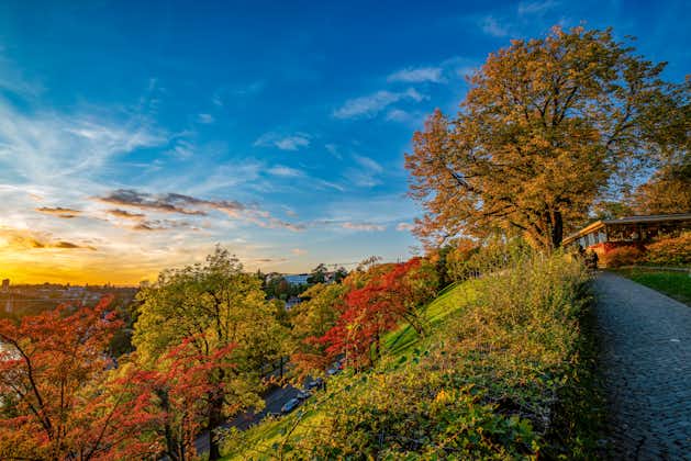 photo of picturesque alley on top of the hill in Rosengarten (Rose Garden) at sunset in autumn in center of Bern, Switzerland. 