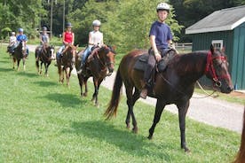 Kemer Horse Riding Tour for Animal Lovers