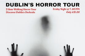 Tour privato a piedi dell'orrore di Dublino - Massimo 10 persone per tour