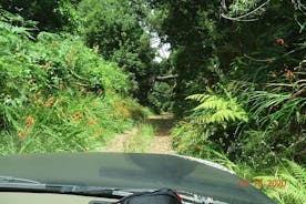 Private Full Day Off-Road Tour in Madeira