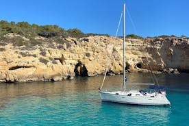 8-Hour Private Navigation through the Bay of Palma de Mallorca
