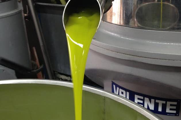 Tour privato di un'intera giornata all'olio d'oliva con degustazione a Valencia