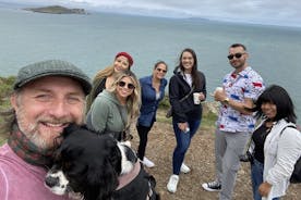 Dublin Coastal Hike and Pints with A local & His Dog Private tour