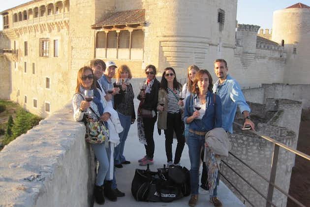 Wine Experience with Castles, Medieval Cities or Cathedrals Tour from Madrid