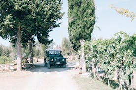 Tour de vino todoterreno en Chianti desde Florencia