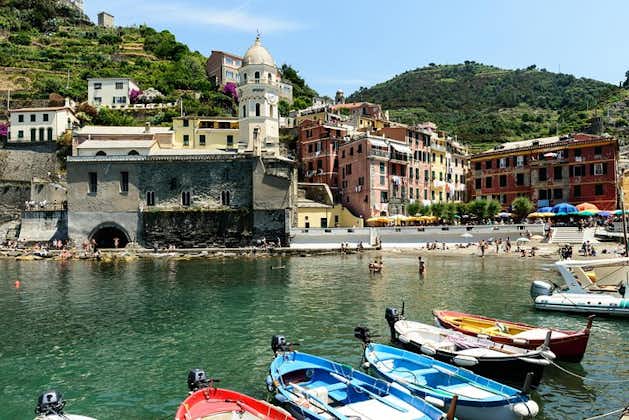 Cinque Terre and Pisa Shared Shore Excursion from Livorno