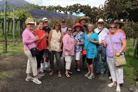 Private tour: Pompeii and Mount Vesuvius with wine tasting