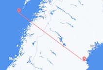 Vluchten van Røst naar Skellefteå