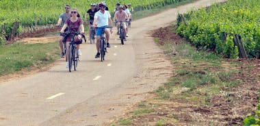 1-daagse e-bike- en wijntour in Cote de Nuits