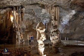 リュブリャナからのポストイナ洞窟とプレジャマ城ツアー