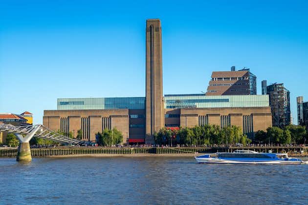 예술 사학자 가이드 투어와 함께하는 테이트 모던(Tate Modern) 관람, 런던